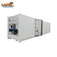 Chiller and Freezer 40 ft Dual Zone Reefer Container for Storage Vegetable and Meat