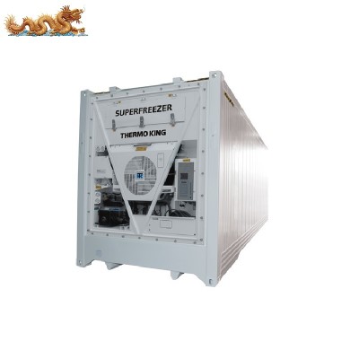 Minus 60 Degree Celsius Deep Reefer Tuna Fish Transportation 20 ft 40ft Super Freezer Container